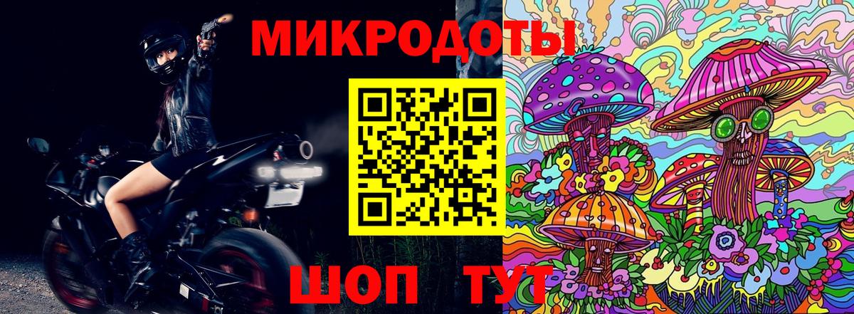 Галлюциногенные грибы мухоморы Ессентуки
